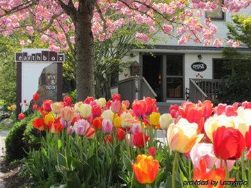 Locanda Earthbox &