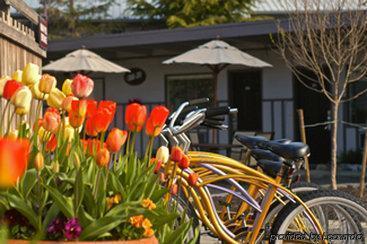 Locanda Earthbox & Friday Harbor